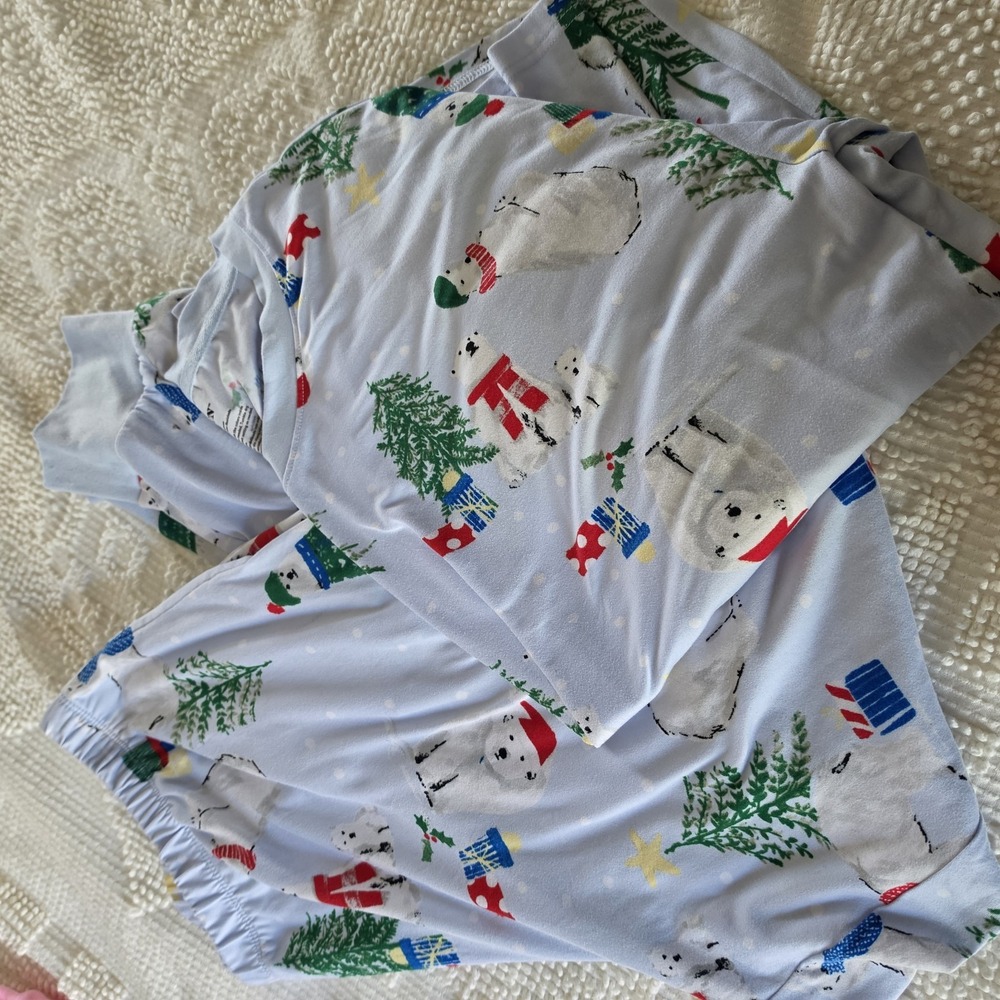 Joyspun Womens XL Polar Bear Christmas Pajama Set Blue Holiday PJs Cozy